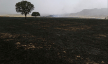 سوختن هفت هکتار از اراضی مرتعی اراک در آتش