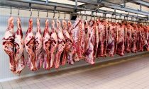 تولید گوشت