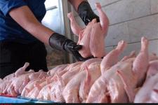 کشف ۱۷۰۰ کیلوگرم ران مرغ فاقد هویت بهداشتی
