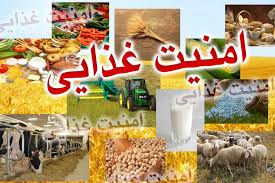 تدوین سند امنیت غذایی استان مرکزی