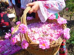 جشنواره گل و گلاب